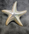 STARFISH PENDANT OR PIN - Lil Monkey Boutique