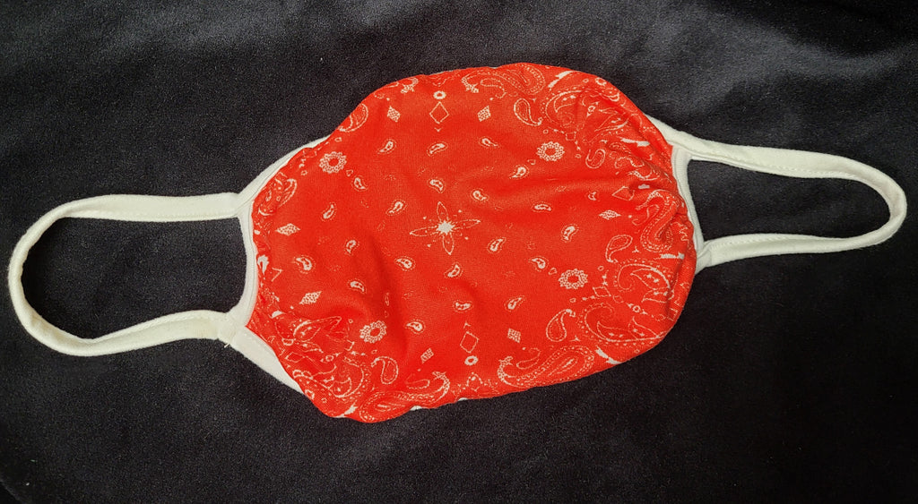 RED PAISLEY CLOTH MASK - Lil Monkey Boutique