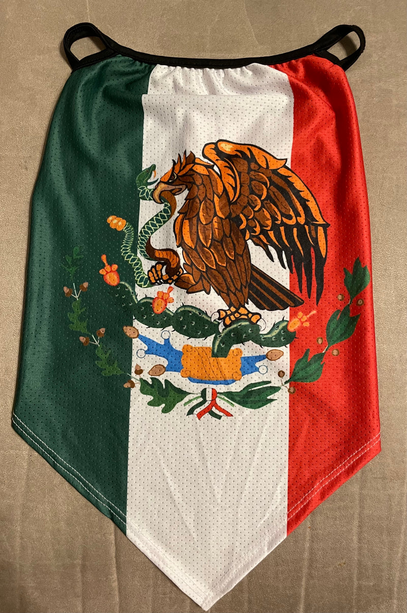 MEXICAN FLAG NECK GAITERS - Lil Monkey Boutique