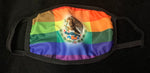 MEXICO FLAG PRINT CLOTH MASKS - Lil Monkey Boutique