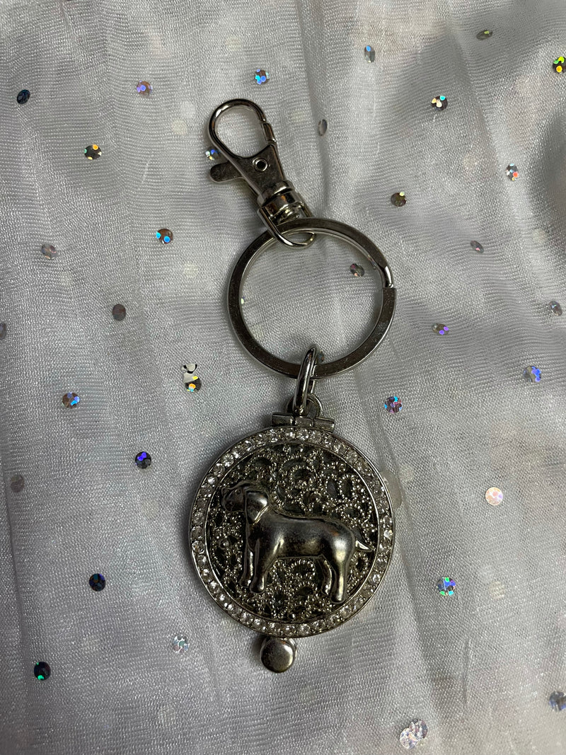 LOCKET KEYCHAIN WITH MIRROR & DOG ON FRONT - Lil Monkey Boutique